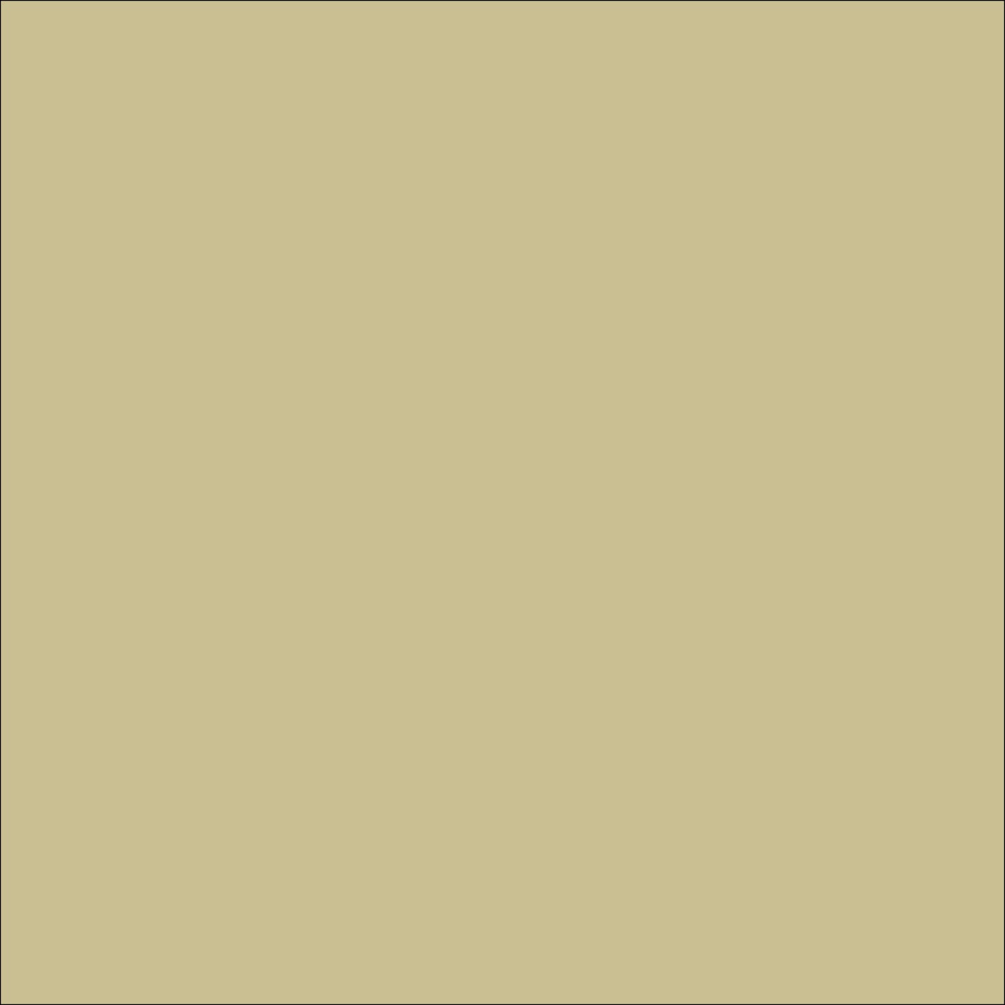 Dark Beige Oracal 631